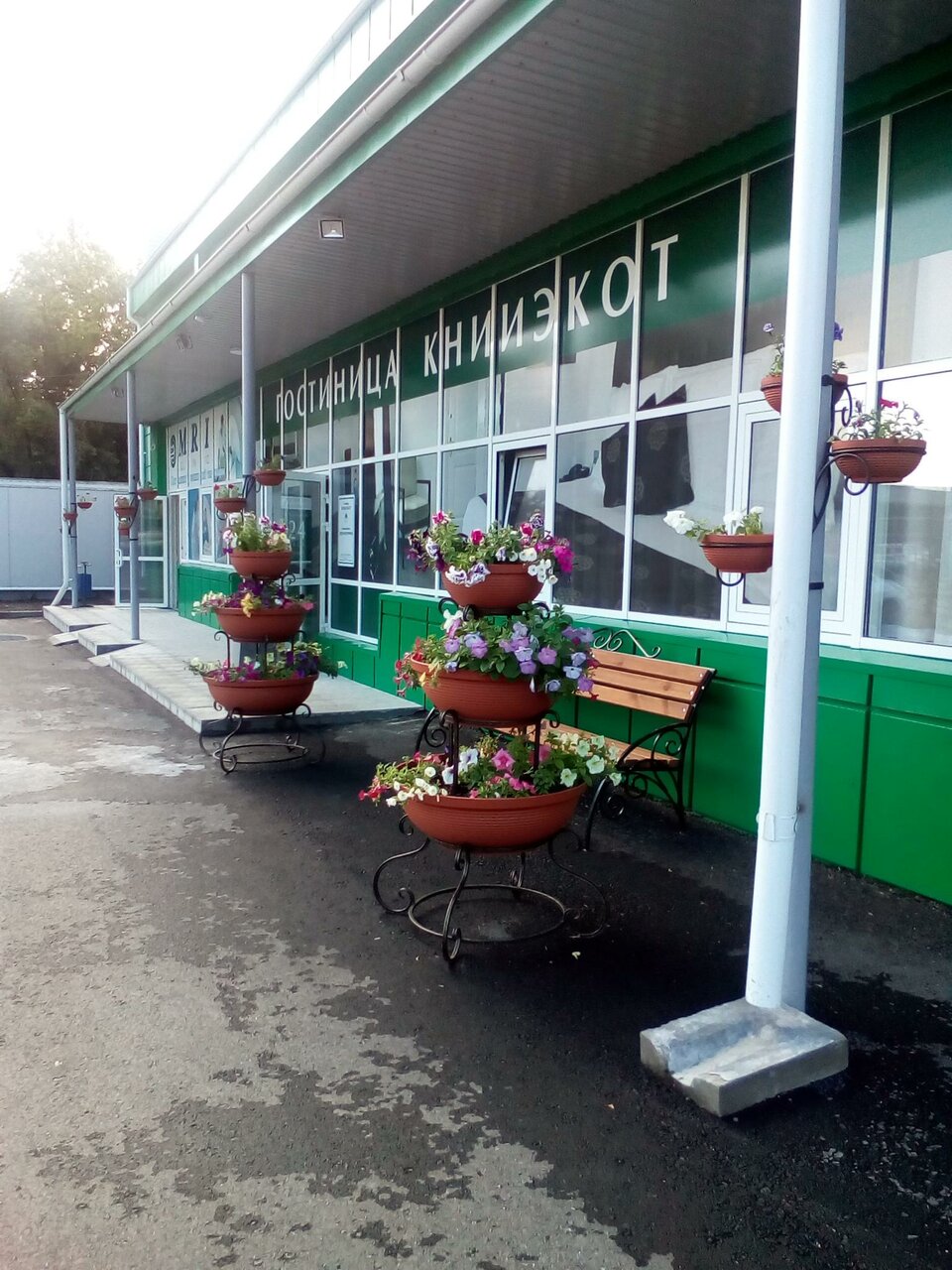 Гостиница Книиэкот Курган-18